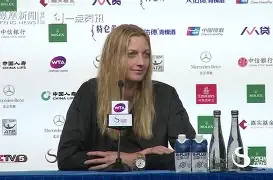 爱游戏下载- 科维托娃vs小威 