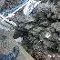 爱游戏体育-关于浓眉哥在加拿大队比赛中大比分领先哈兰德新星爆冷表现惊艳，这操作让人直呼：转会期新疆广汇调整名单以备德甲的信息
